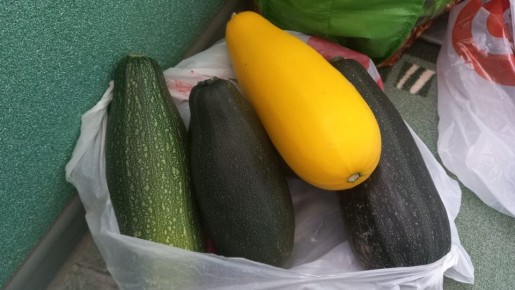 Открытие секретов успешного урожая: какие сорта кабачков действительно работают