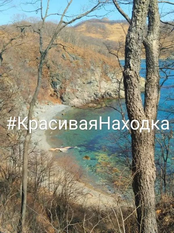 � ������� �� ����� ����� � ������ ����� �������� ���������� ������������ �� ����� ����