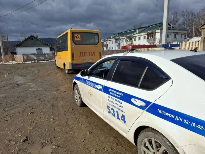 В Приморском крае Госавтоинспекция в ходе профилактического рейда «Автобус» выявила 29 нарушений