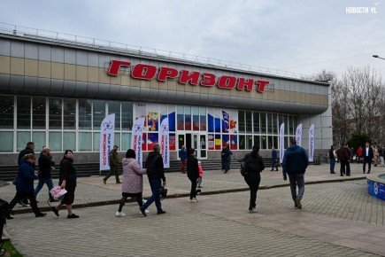 Налоги, рабочие места и спорное место для строительства: как прошли слушания по АЭС в Уссурийске