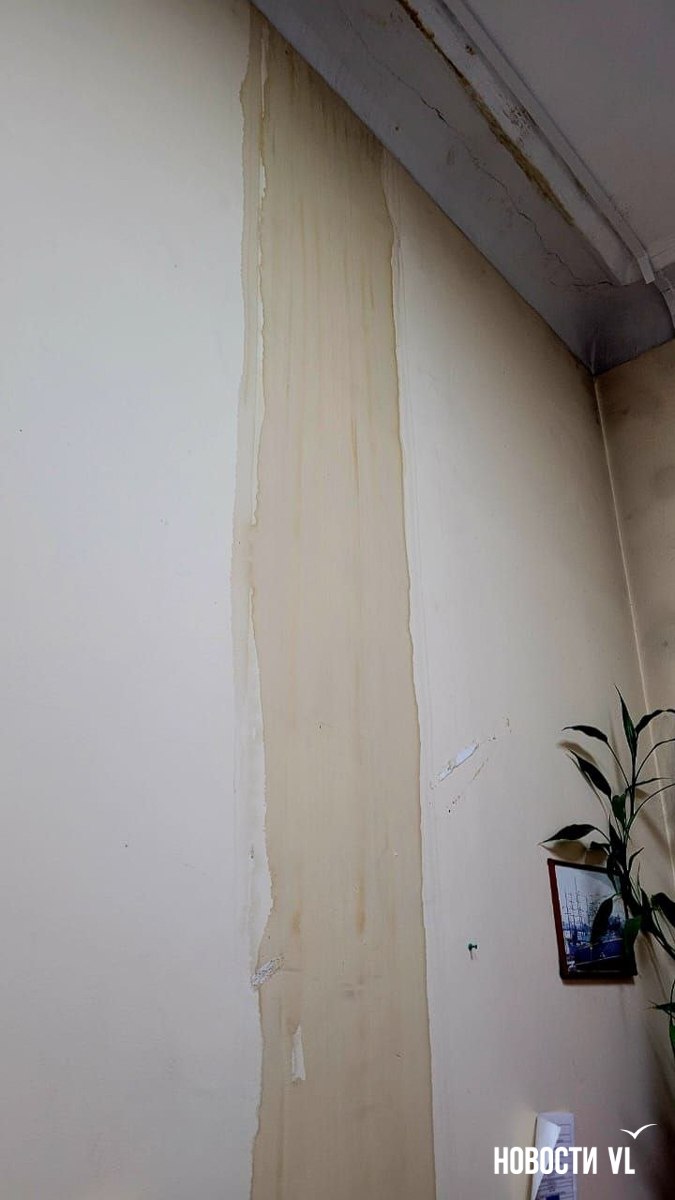 На ремонт насквозь ржавой крыши и фасада старинного здания в центре Владивостока в этом году не нашлось средств На ремонт насквозь ржавой крыши и фасада старинного здания в центре Владивостока в этом году не нашлось средств