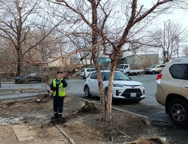 ������� � ���������: � ������ ���� �� ������������ ������� ������� 350 ��������