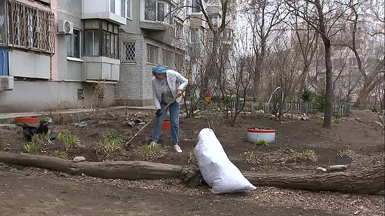 Владивостокцам грозят штрафы за неправильный выгул домашних животных