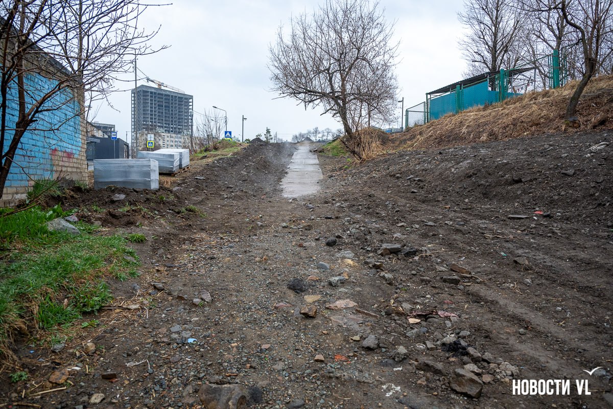 К озеру с черепахами во Владивостоке строят ещё одну пешеходную дорожку К озеру с черепахами во Владивостоке строят ещё одну пешеходную дорожку