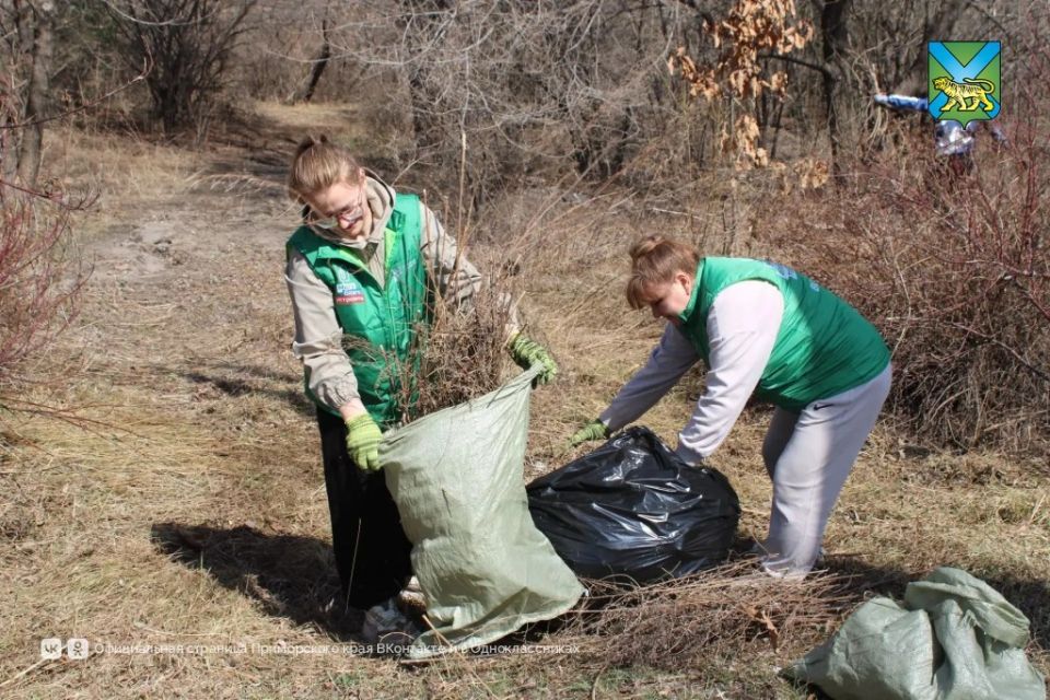 ��������������� ���������� ������ ������ ������� ����� � ��������