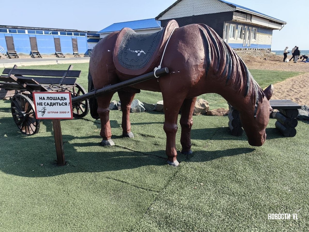 Администрация Владивостока требует снести на Шаморе здание кафе, принадлежащее структурам Владимира Николаева Администрация Владивостока требует снести на Шаморе здание кафе, принадлежащее структурам Владимира Николаева