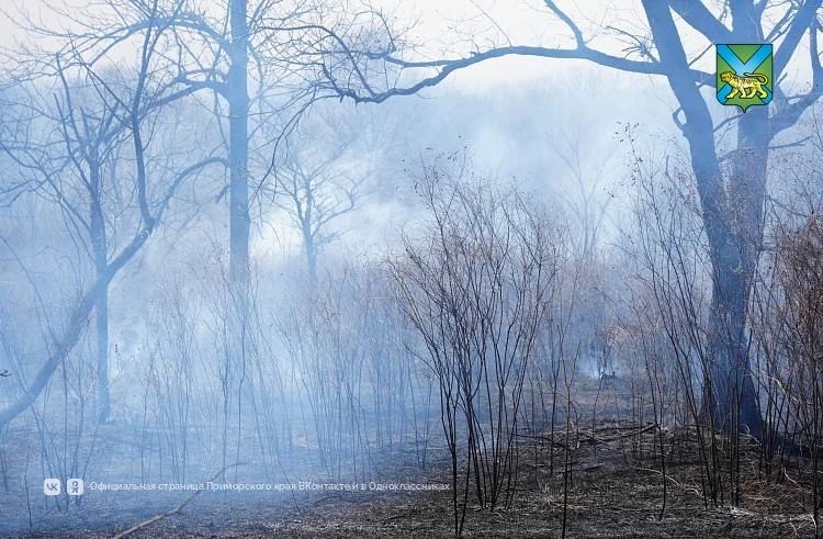 � �������� ��������� ���������� ������� �� ����� ��������� �������