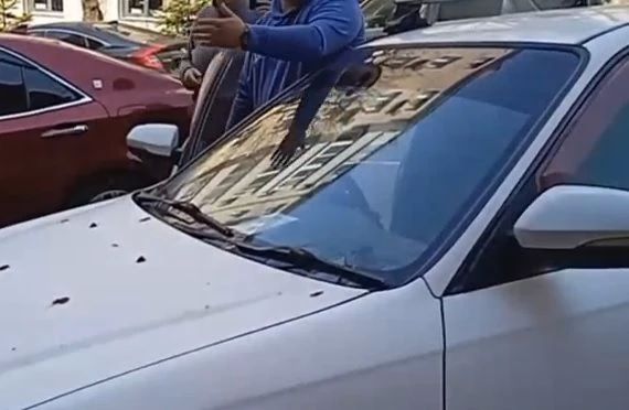 ���������������� ������������ ��������� ���������� �� ���������� �����