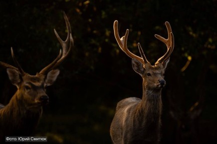 � �������� ��������� ���������� ����� ������� ����� ��� �� 40% � 2023 ����