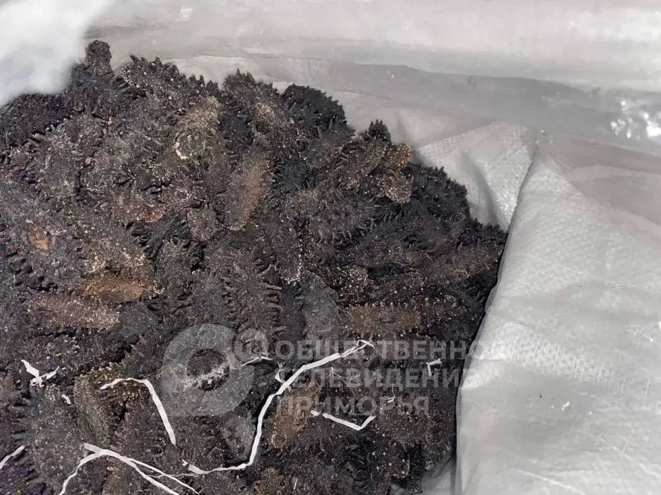 ���������� �������� ������ ������ 30 ����������� �������� ����������