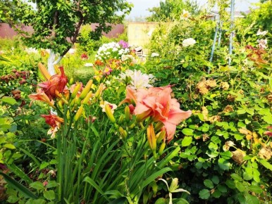 ������� �������: ��� ��������� ������� �������� ����� ��������