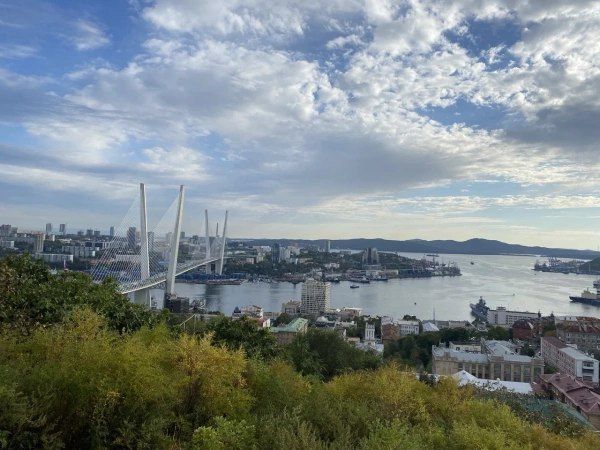 ������ ������������ ����� �� 12 ���� ������ �� ������ ���� � ������ 35 ���� ������