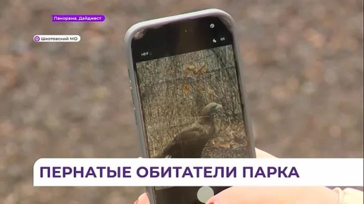 ���� ���� ������ � ���������� ������-�����