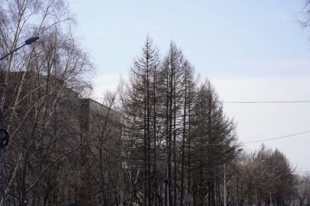 ������ ����, ���������!. ������� 17 ������ � ��������� ���� �����