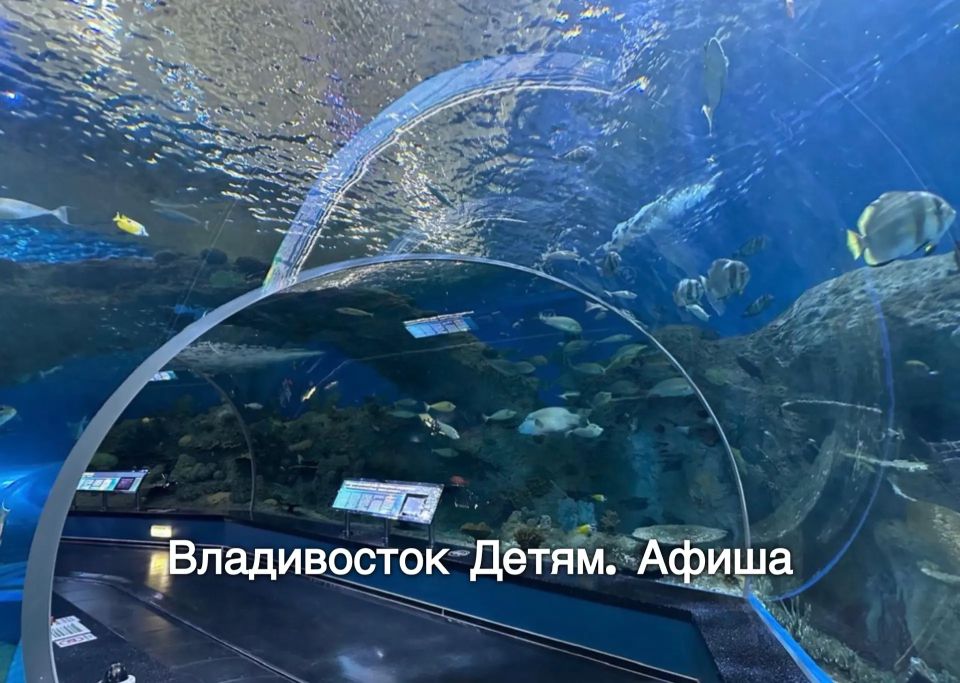 ������� �������� ���������� � �����-����� ����������� ��� ��������� � ������