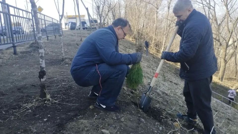 �� ������������ �� ���������� �������� ����� 6 ����� ������� ����� � ��������