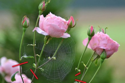 ������� ����� �� ������ � ������ ���: �������� �������