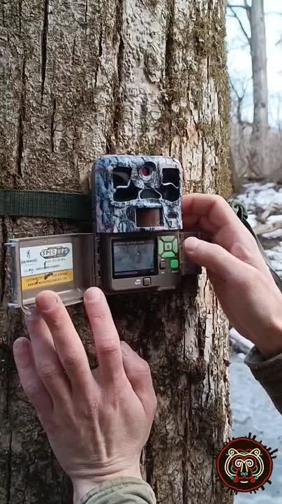 � �������� ������ ���������� ���� ����������� ��������