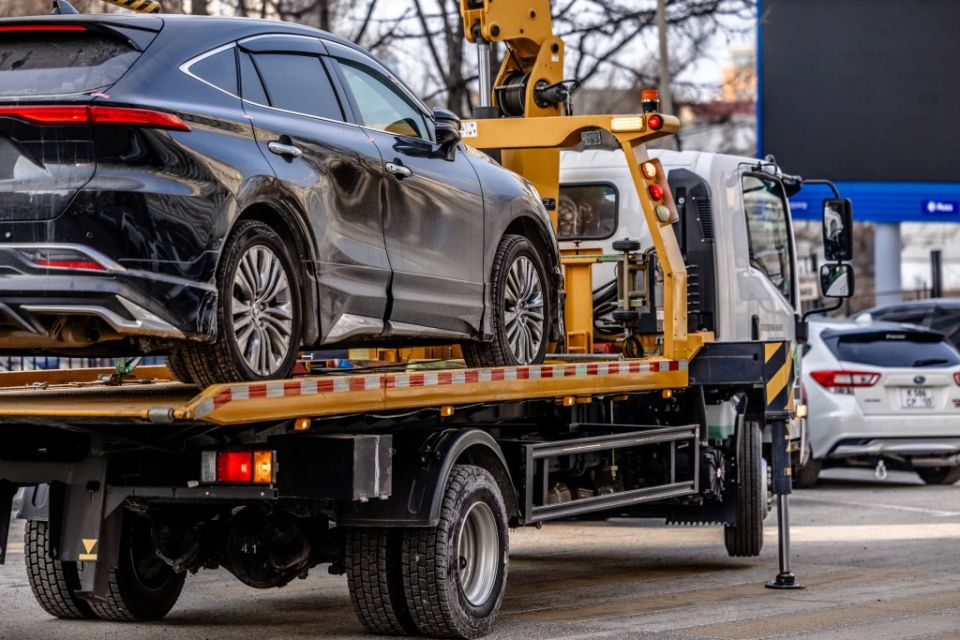 ������������� ������ ��������� ��������� � ������ �� ������������ ��� 87 �����������