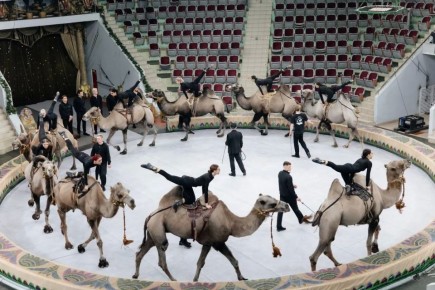 ����� 15 ����� ������� ������� ������� �� ������������� ����� ����������� ������ ��������