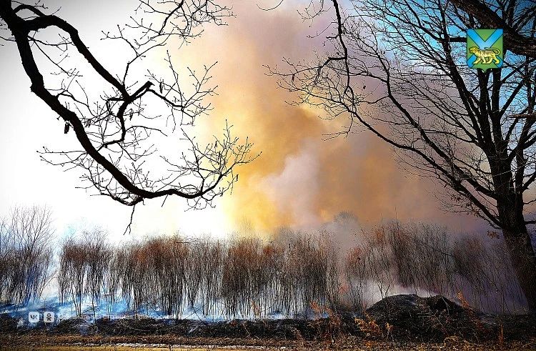 58 ������� ������ � �������� �� ��������� ��������