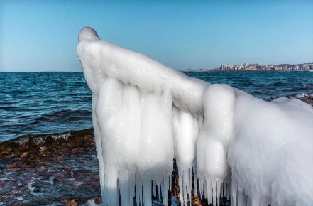 ���� ����� ���������� �� ����� ��������: ����