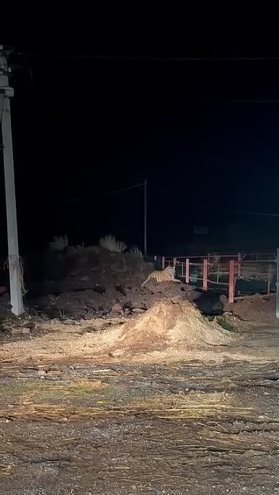 ���� ����� � ����, �� � ��������� � �� ������