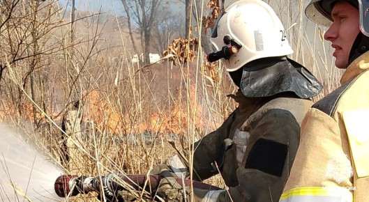 � �������� �� �������� �����: