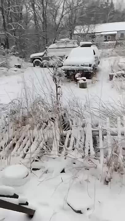 �� ������-������� �������� � ���� � ������