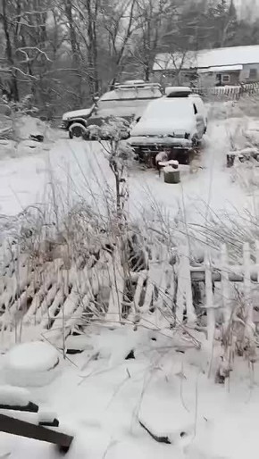 �� ������-������� �������� � ���� � ������