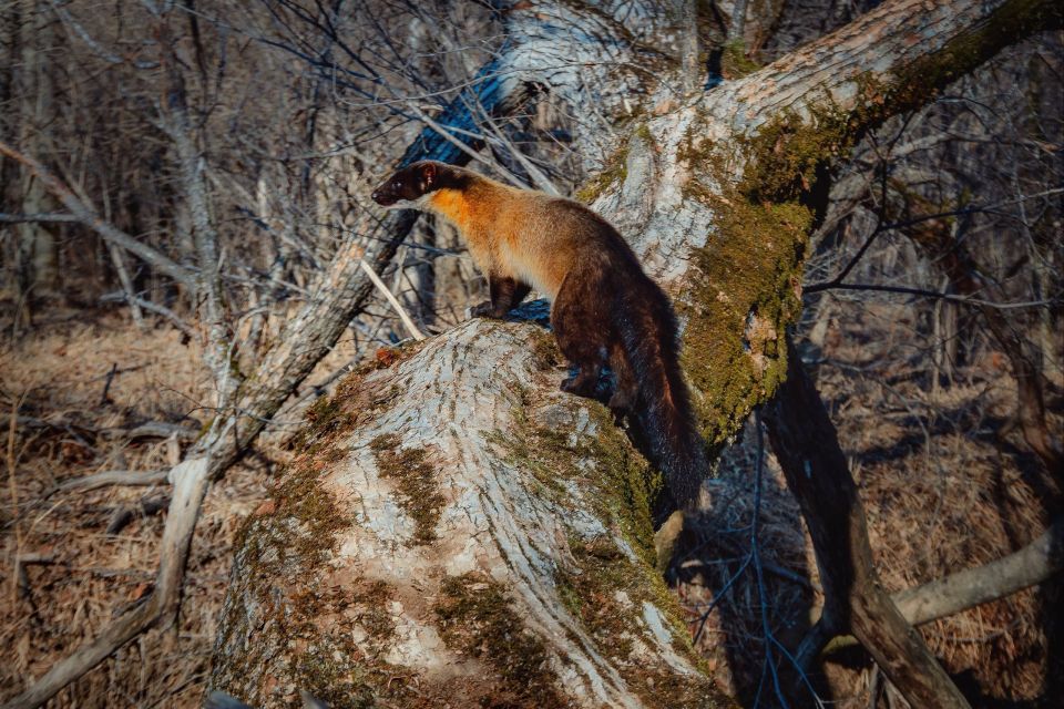 ����������� ������ ������ � �������� �����������