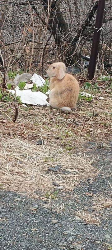 �� �������� � ������ �������� ������� �������� �������