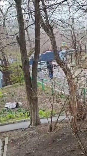 ������������� ������, �����������