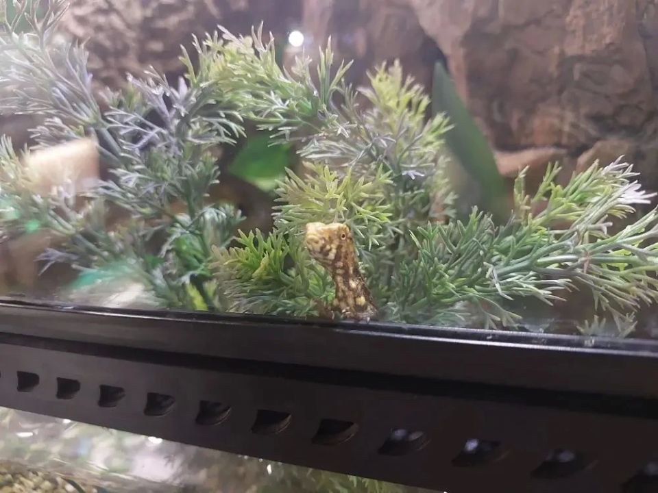 ����������� ������� � �������� �������� ������������