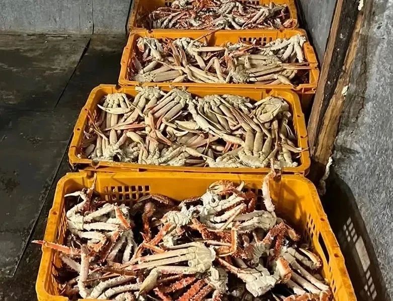 ��� ������� ���� ���� ������� ����������� ���� �� ���� � ���������� ������� ������ ������������� ��������