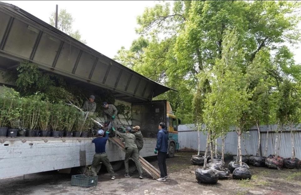 �� ������������ ��������� ��������� ���������� ����� ������ ���������������