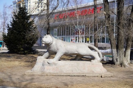 ������ ����, ���������!. ������� 21 ������