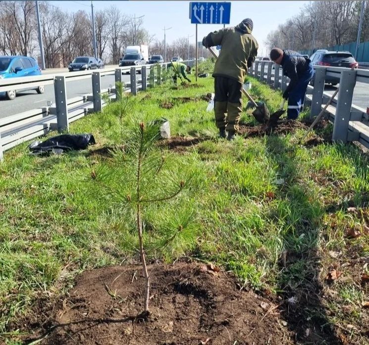 �� ������������ ������������ �������� ����������