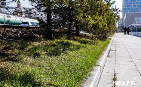 ������ ����, �����������. ���� ���������� ����������