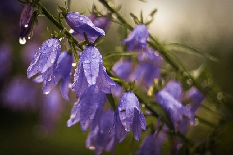 ��������� ������ ������� �� ���������� ����������� ���� � �������