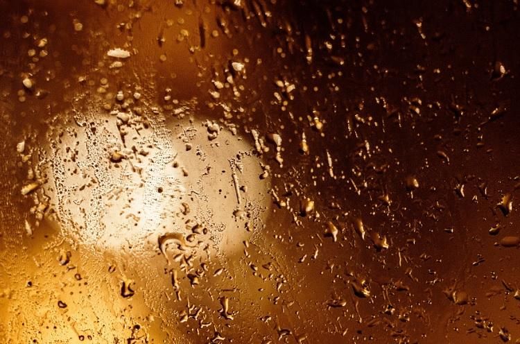 ���������� ���� ��������� � ��������� ��������: �������