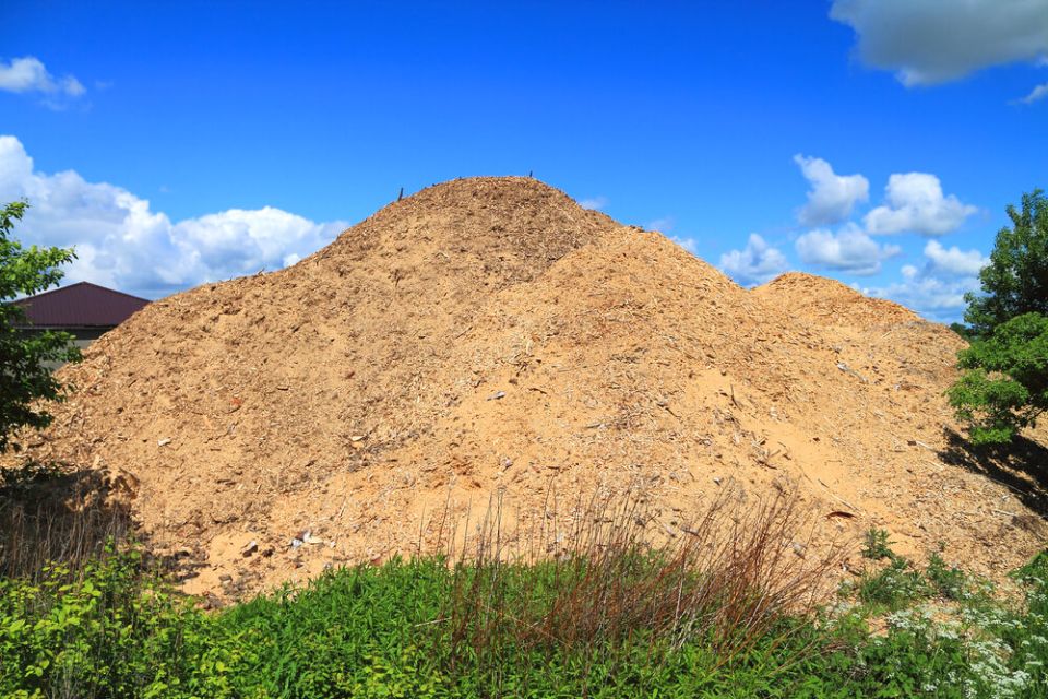 ��� ������������ ������ �� ����: ������ � ������������