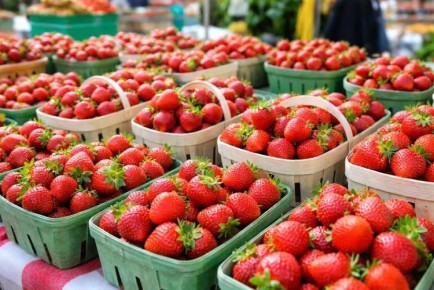 � ���������� ���� � ������ 2026 ���� ������ ����� 2,4 ������ ���� ������ �������� �� �����