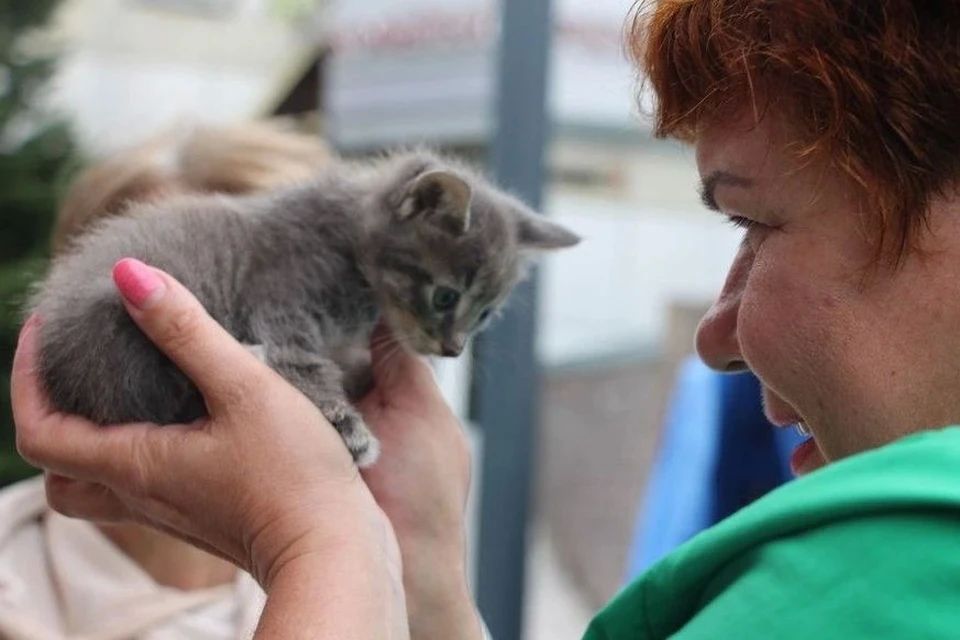 ��������-������� �������� �� ������������ ������� ������� �� ����� ���