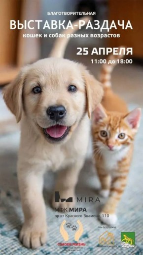 �� ����������, ��� ��� � ��� � ��� ������� ��������� ����������������� ��������-������� ��������� ��������