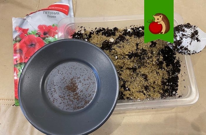 �������: ������������� ����� ��� ����� �������� �����