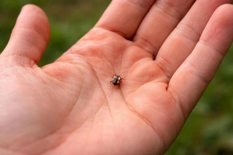 � �������� ����������� ������ ������ ���������� � ����� � ������ ������