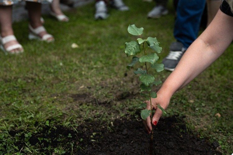 ����� ���������� �� ������������ �������� ��� � ����� ������