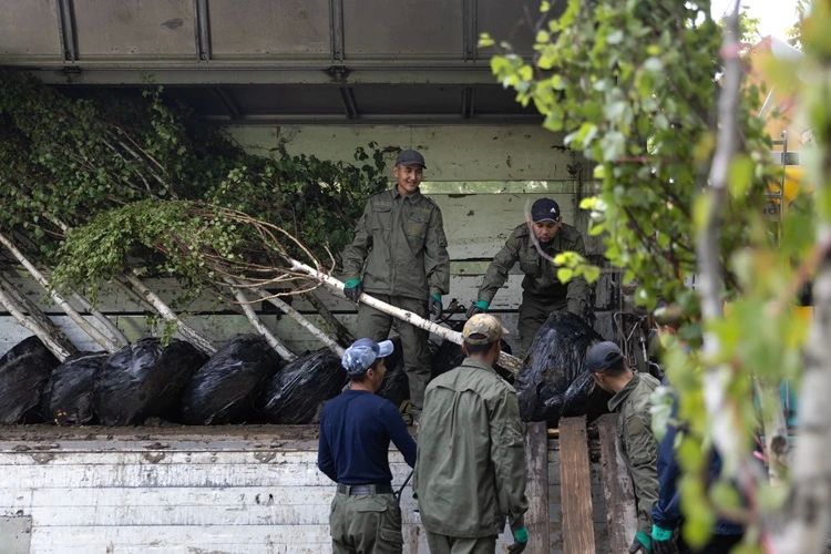 ���������� ��� ����: ��� �� ������������ ������� ����� 300 ����� ��������