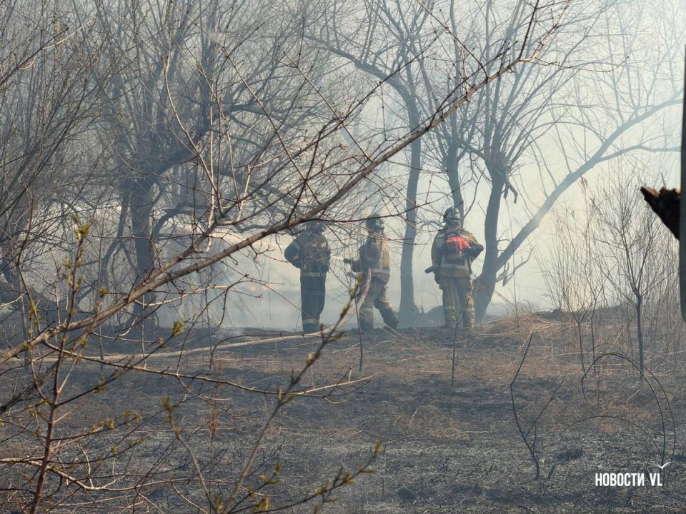 ��� ��������, ��� � ������ ����� ��������� � ������ �������� ��������� ���������� ����� ��������������